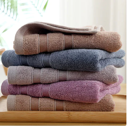 Twin Cleaning Towel